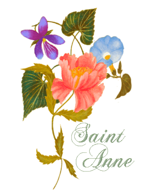 Fete de la Sainte Anne TOTAL