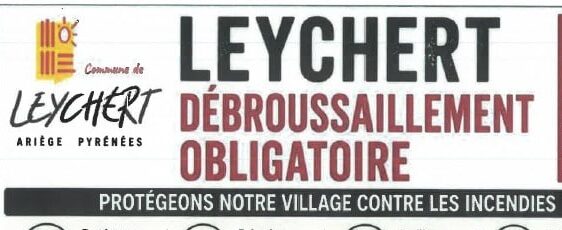 Débroussaillage - ZOOM